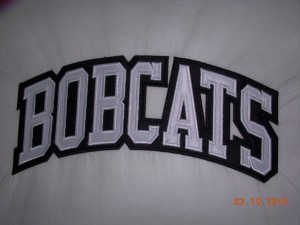 large team embroidery logo